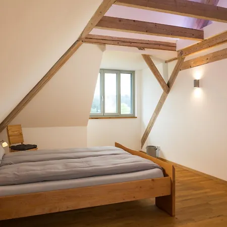 Appartamento Altes Zollhaus-3 By Interhome Fischbach